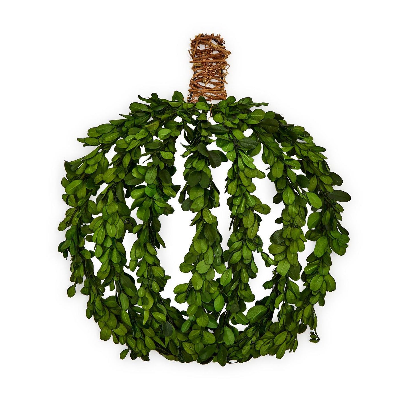 Preserved Natural Boxwood Leaves Hand-Crafted Pumpkin Decor