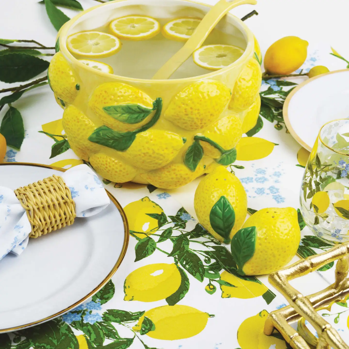 Lemon Salt & Pepper Shaker Boxed Set