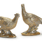 Golden Pheasants, S/2