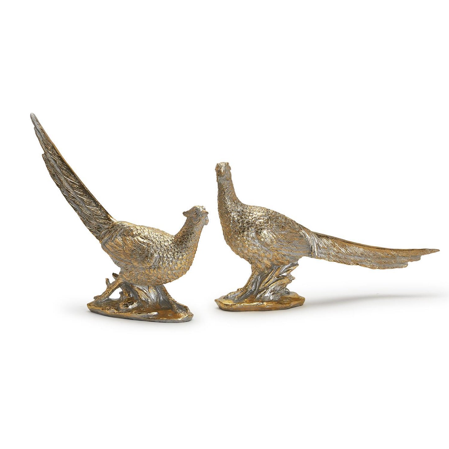 Golden Pheasants, S/2