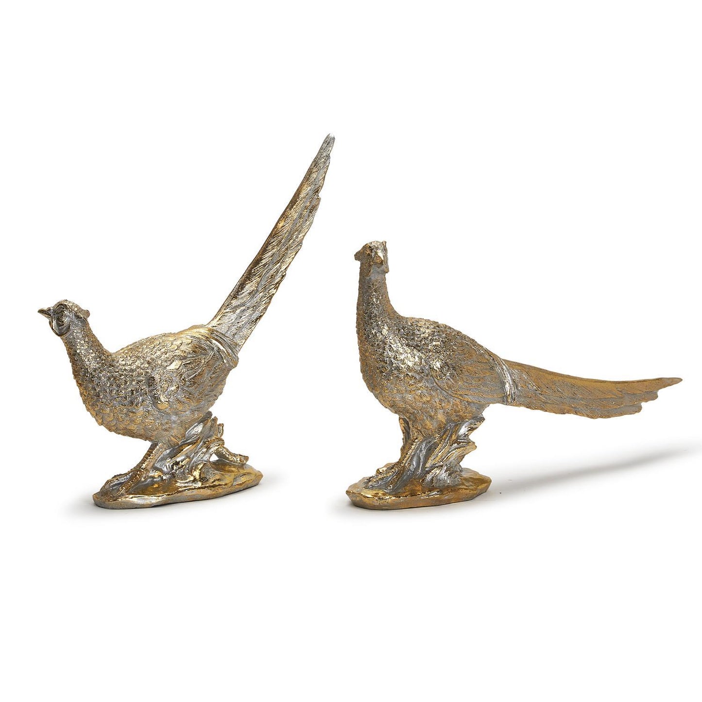 Golden Pheasants, S/2