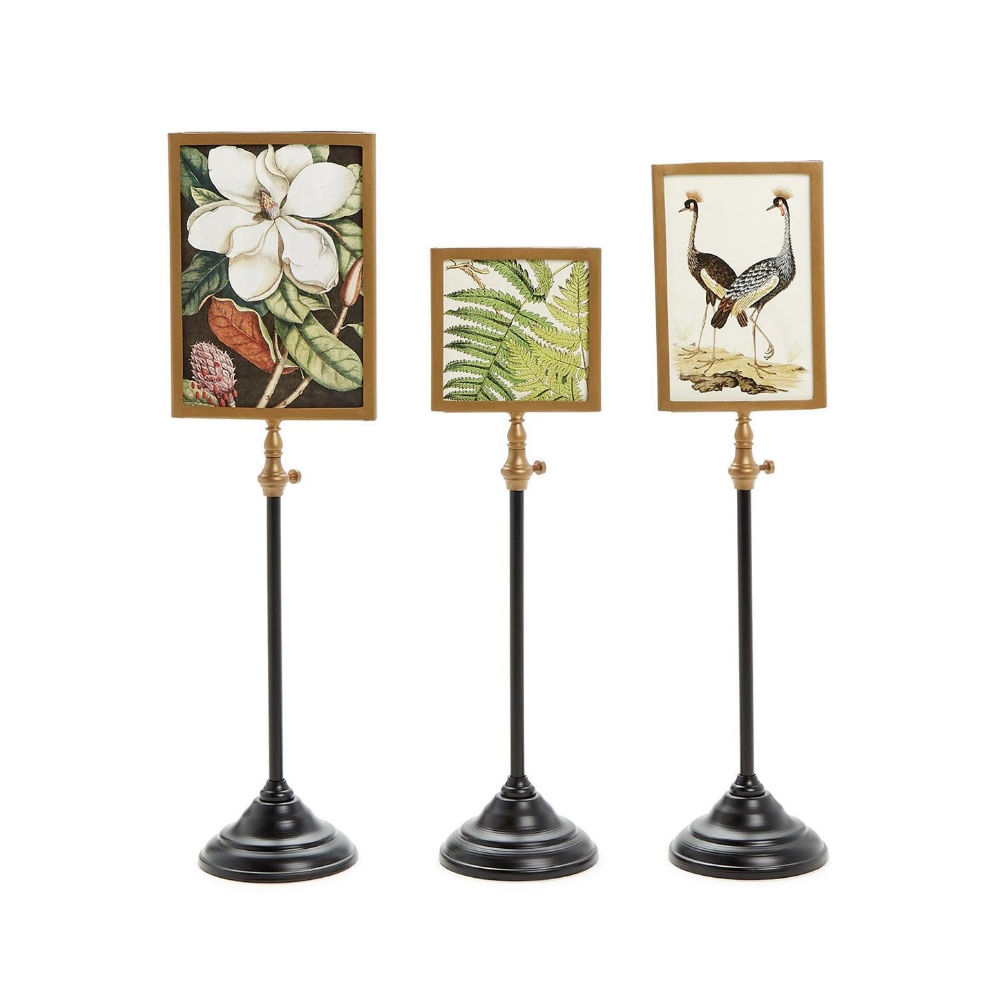 Double Sided Photo Frames on Telescoping Pole