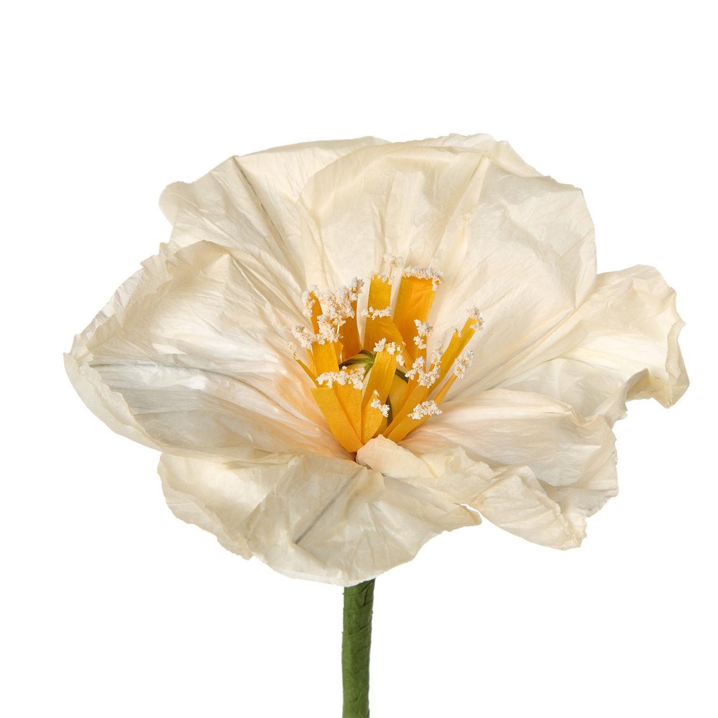 Hand-Crafted Paper Flower with Base Unit (*Multiple Styles*)