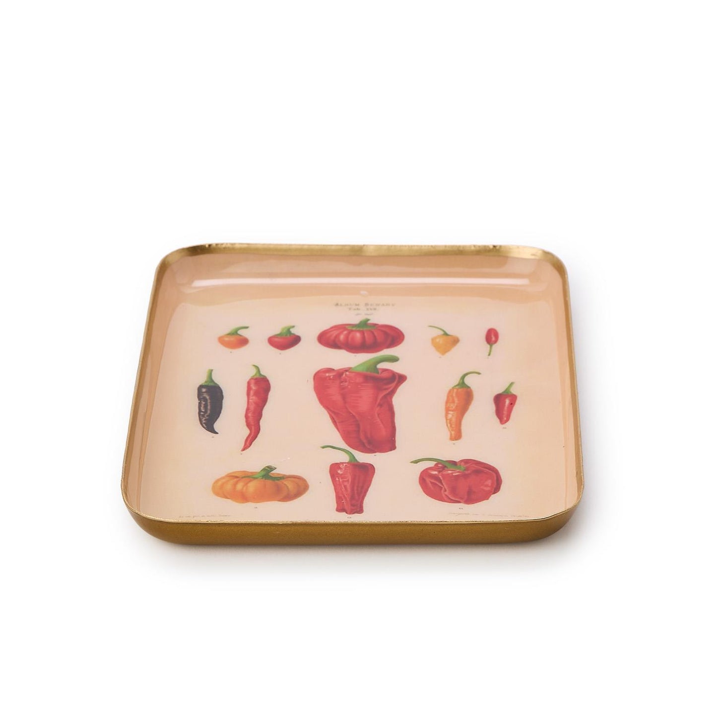 Garden Harvest Metal Trinket Trays/Desk Trays