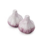 Garden Harvest Hand-Painted Garlic Salt and Pepper Shaker Set in Gift Box