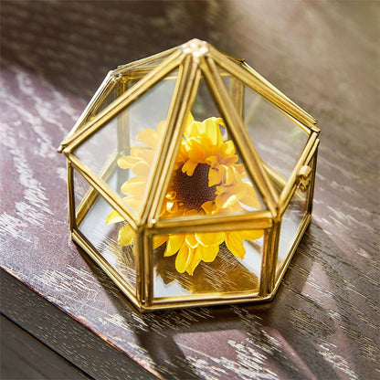 Brass and Glass Decorative Nesting Trinket Boxes