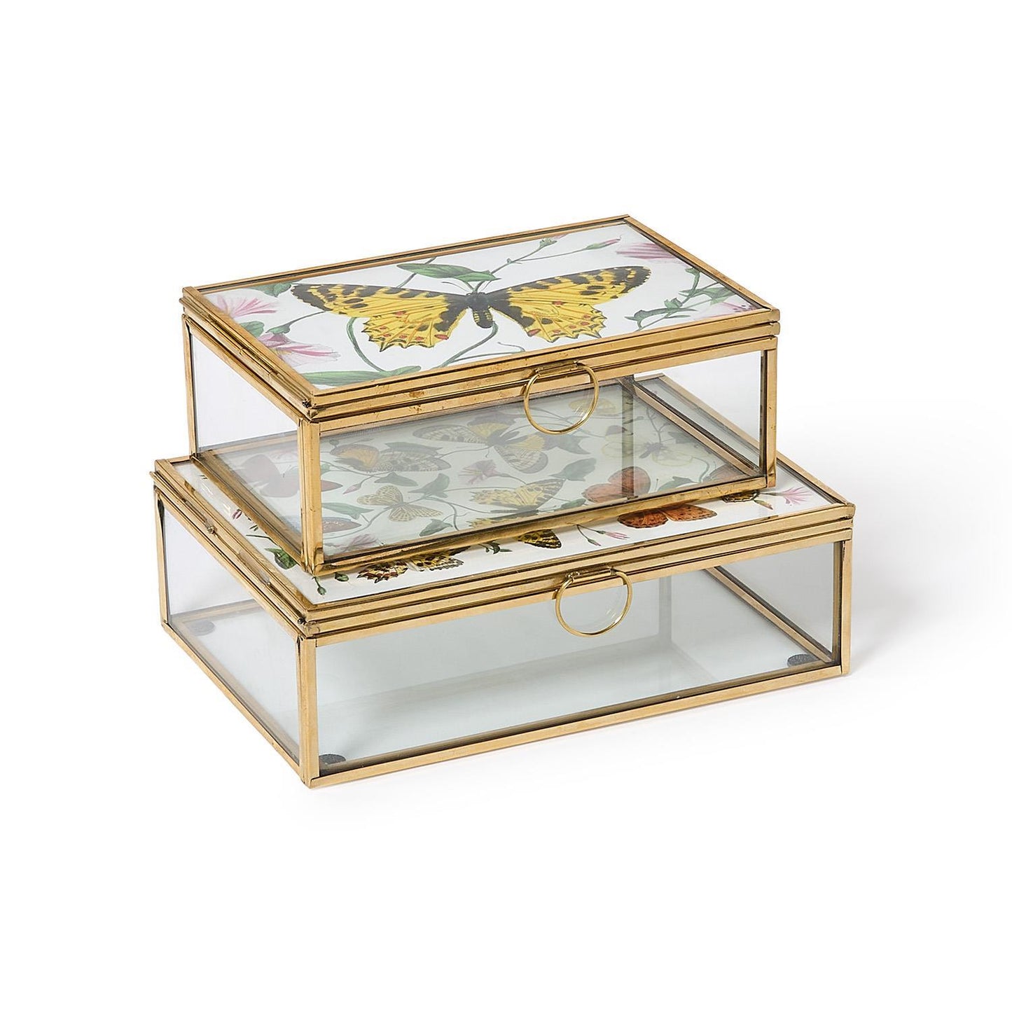 Glass and Brass Hand-Crafted Photo Frame Keepsake Box Holds Photos