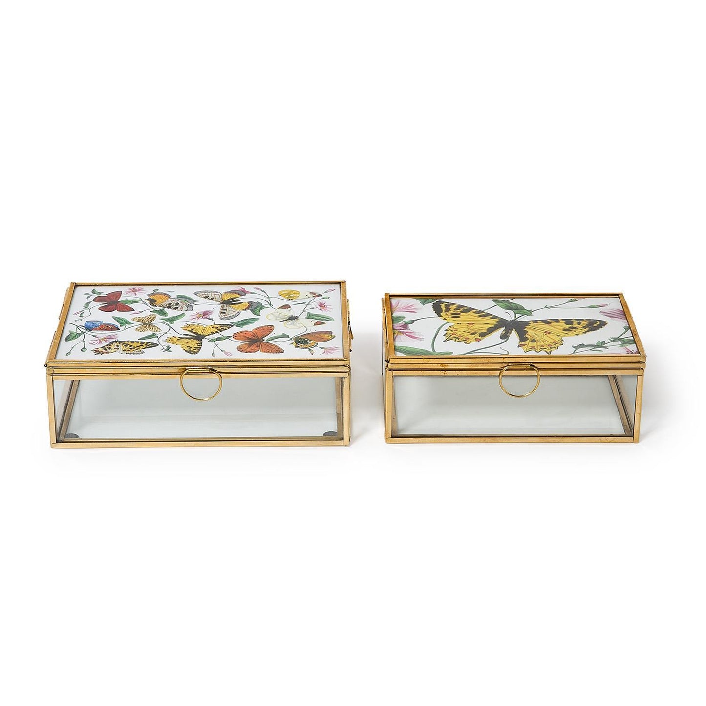 Glass and Brass Hand-Crafted Photo Frame Keepsake Box Holds Photos