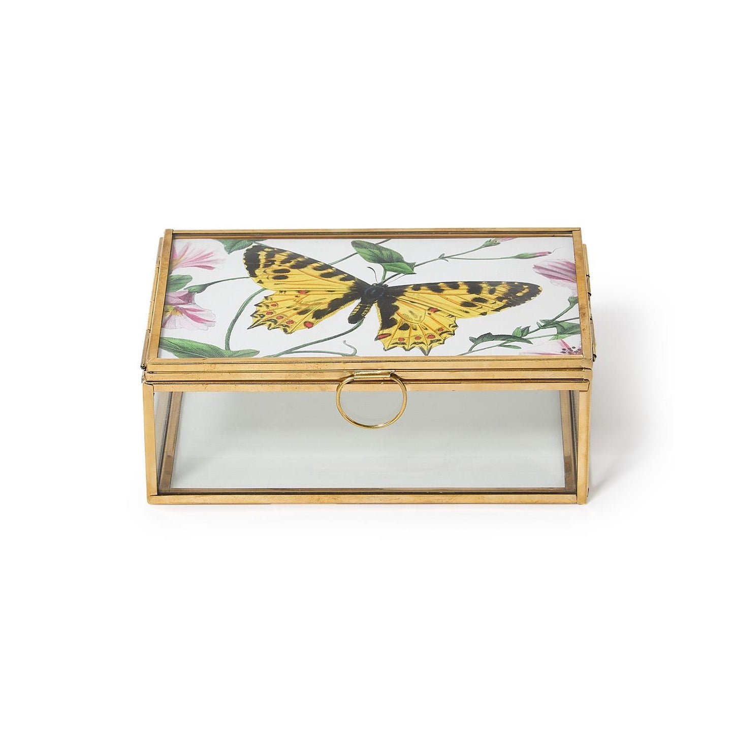 Glass and Brass Hand-Crafted Photo Frame Keepsake Box Holds Photos