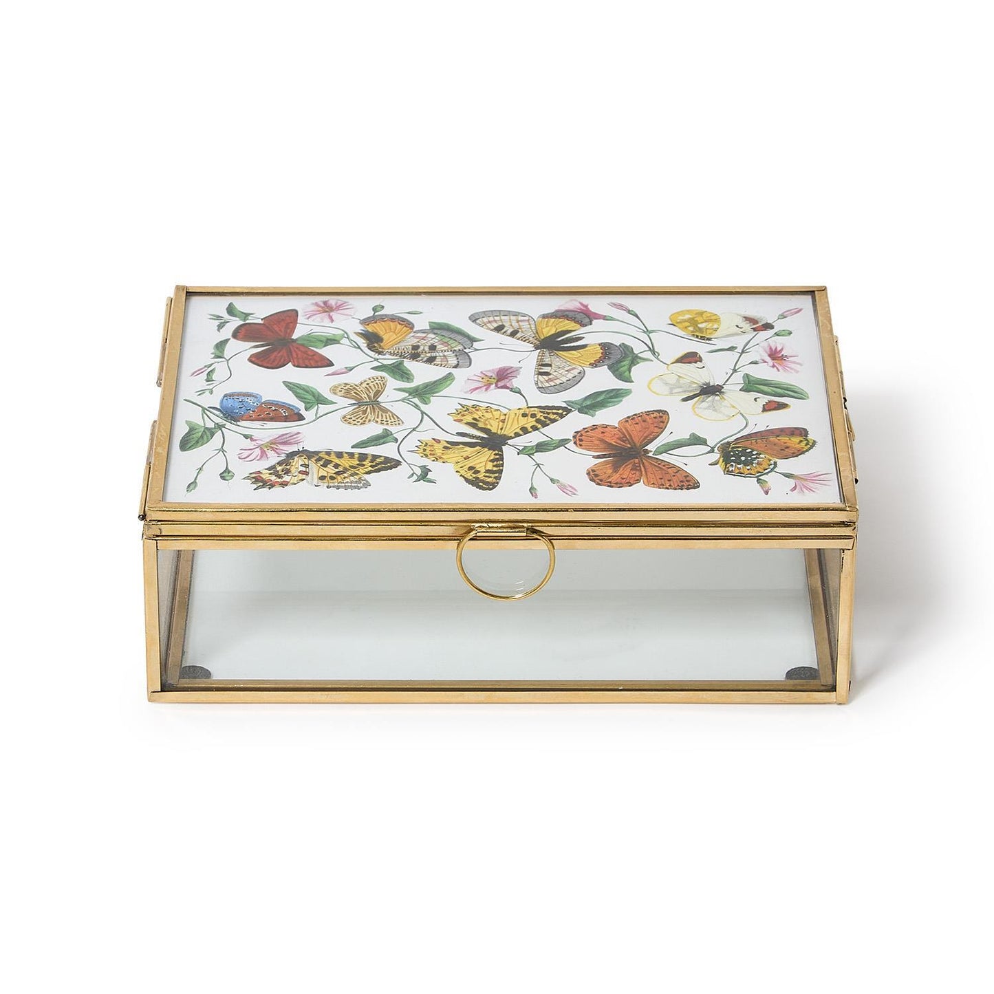 Glass and Brass Hand-Crafted Photo Frame Keepsake Box Holds Photos