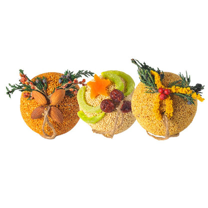 Fruit Ornaments Ball Individual Birdfeed