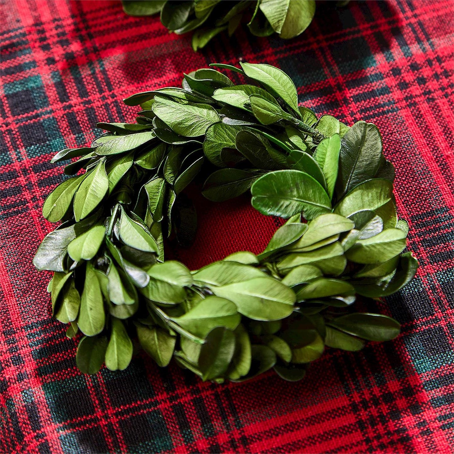 S/4, Preserved Boxwood Wreath Napkin Rings