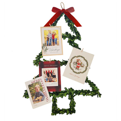 Preserved Natural Boxwood Leaves Hand-Crafted Tree with Red Velvet Bow