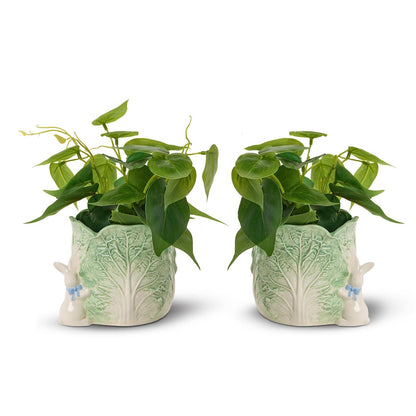 Cabbage and Bunny Cachepots / Planters