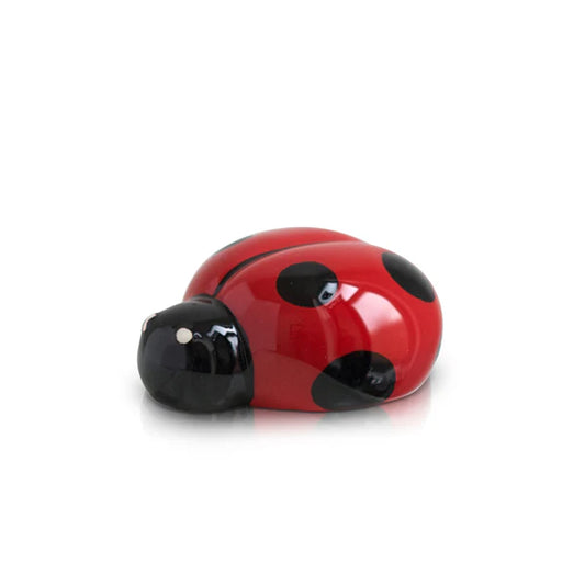 Lil' Ladybug (Ladybug) Mini