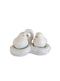 Birds of a Feather Salt & Pepper Shaker Set