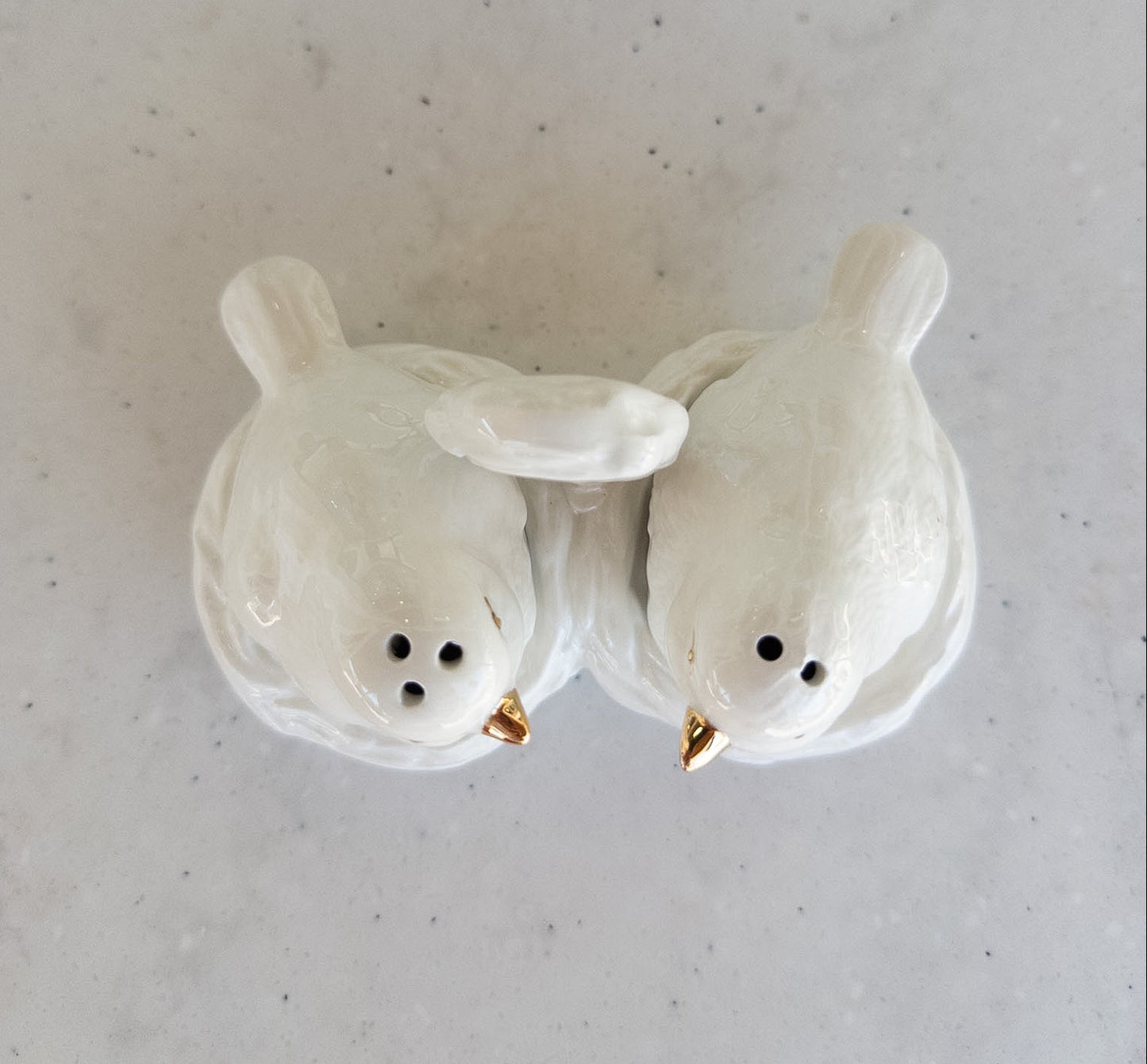Birds of a Feather Salt & Pepper Shaker Set
