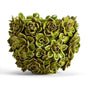 Succulent Planter/Vase (*Multiple Sizes*)