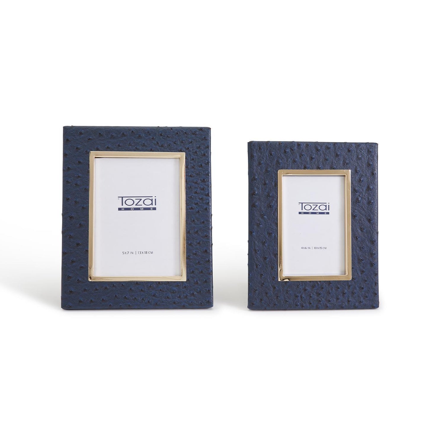 Navy Ostrich Frame with Gold Edge