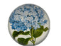 Blue Hydrangea Paperweight