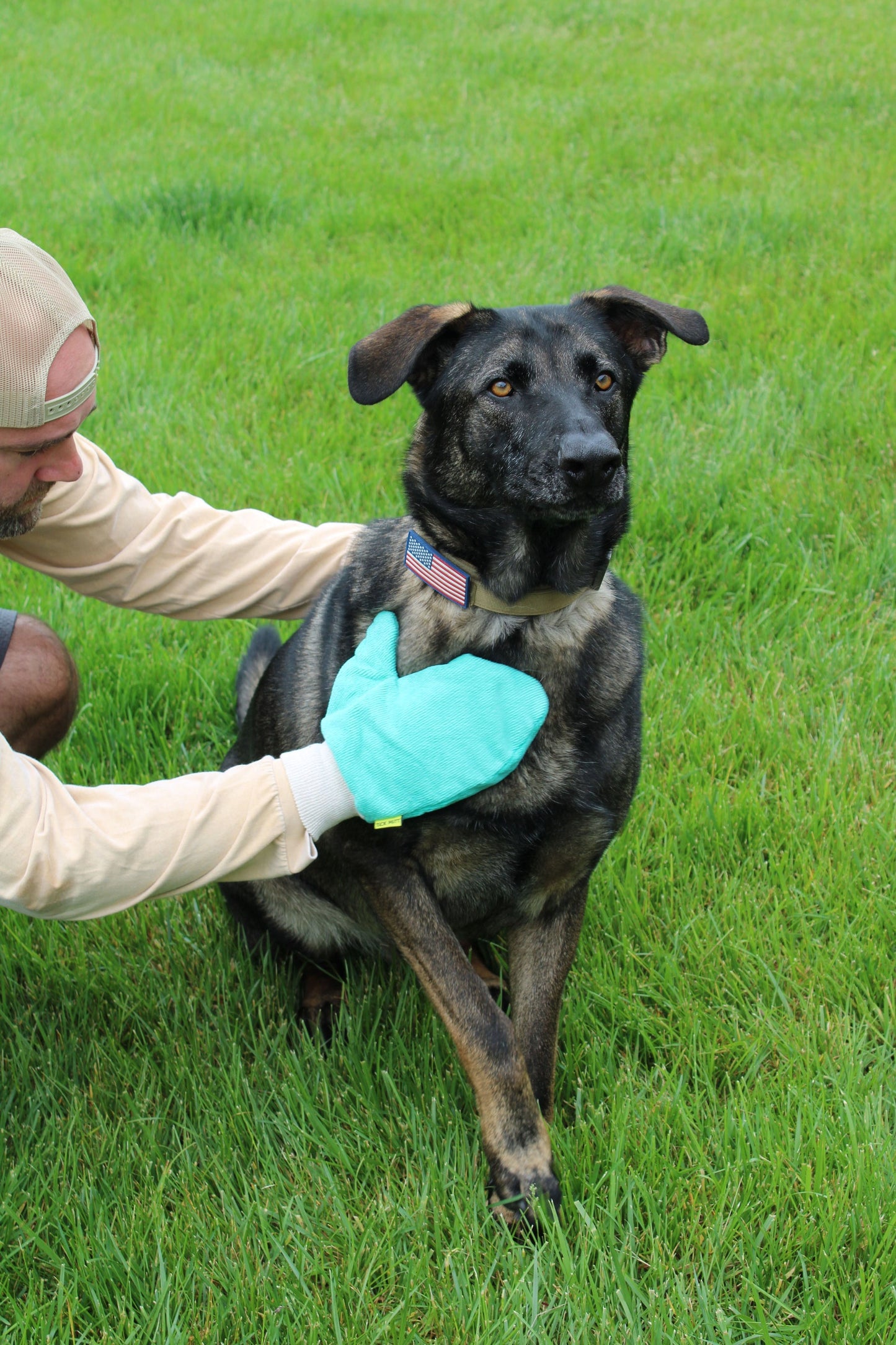 TiCK MiTT - Microfiber Tick Remover for People and Pets (*Multiple Colors)