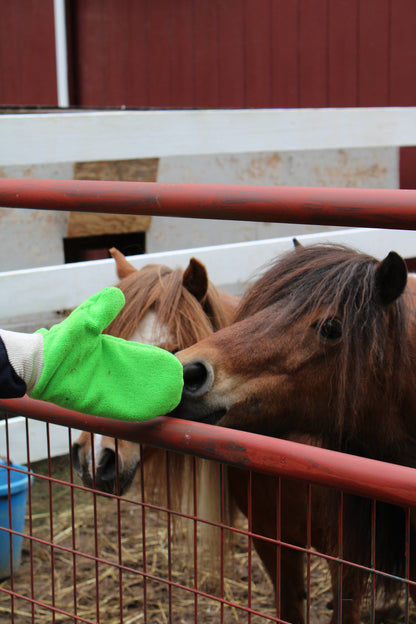 TiCK MiTT - Microfiber Tick Remover for People and Pets (*Multiple Colors)