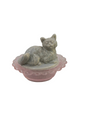 Mismatch Mini Kitten on Nest