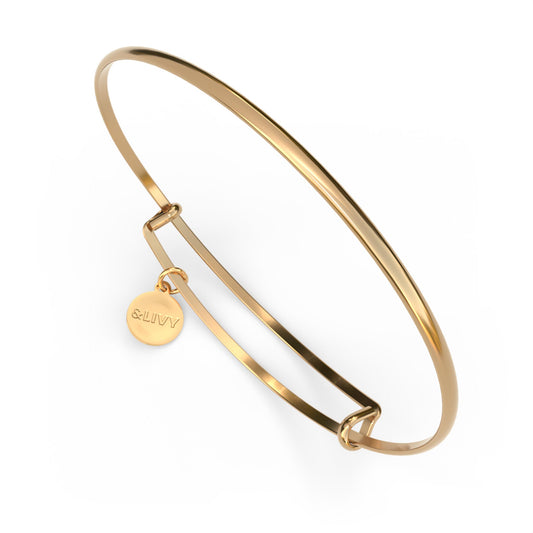 Metalystic Domed Bangle (ADD TO CART FOR FREE W/ $75+ &LIVY PRODUCTS)