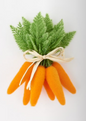 Large Flocked Orange Carrots, Cluster of 6