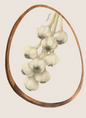 Garlic Acacia Wood Platter