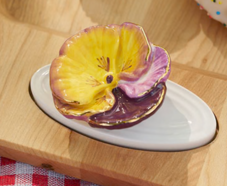 Pansy Pop (Pansy Flower) Mini