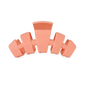 Medium Classic Claw Clip