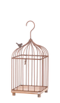 Antique Copper Bird Cage (*Multiple Sizes*)