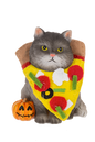 Cat Figurine in Halloween Food Costume