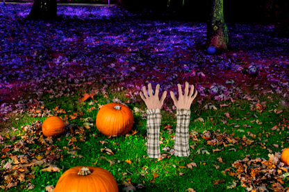 Zombie Arms Lawn Decorations with Stakes