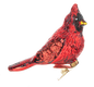 Cardinal Clip Ornament