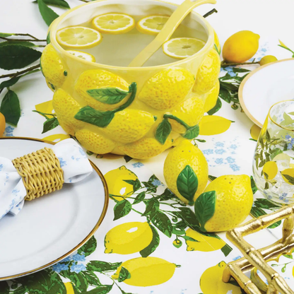 Lemon Salt & Pepper Shaker Boxed Set
