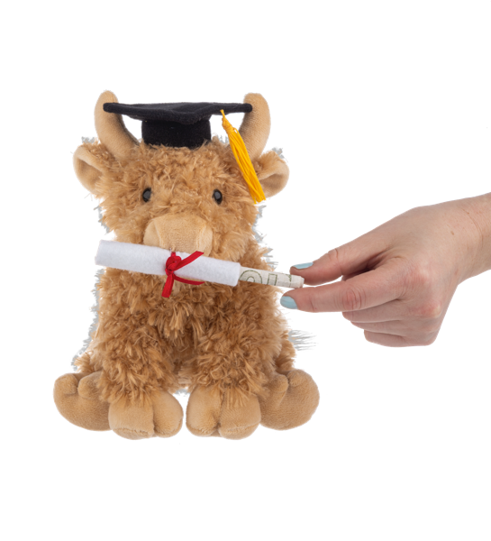 Graduation Hennie Highland Cow