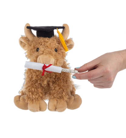 Graduation Hennie Highland Cow