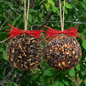 Mr. Bird Seed & Nut Ornament