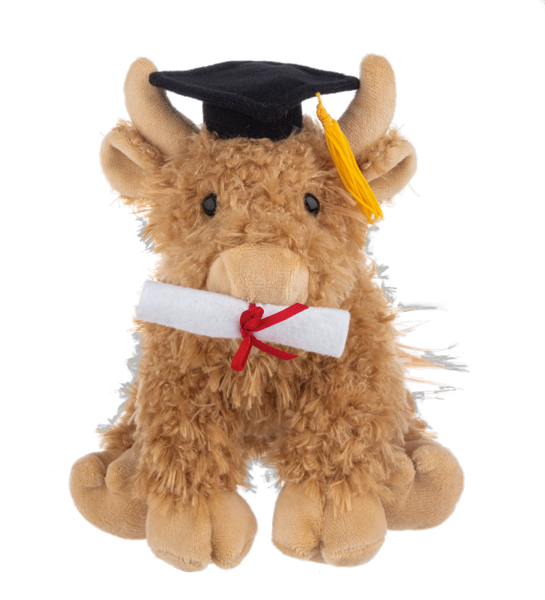Graduation Hennie Highland Cow