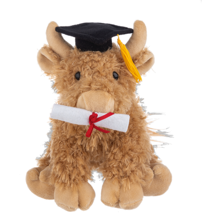 Graduation Hennie Highland Cow