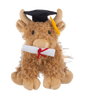 Graduation Hennie Highland Cow