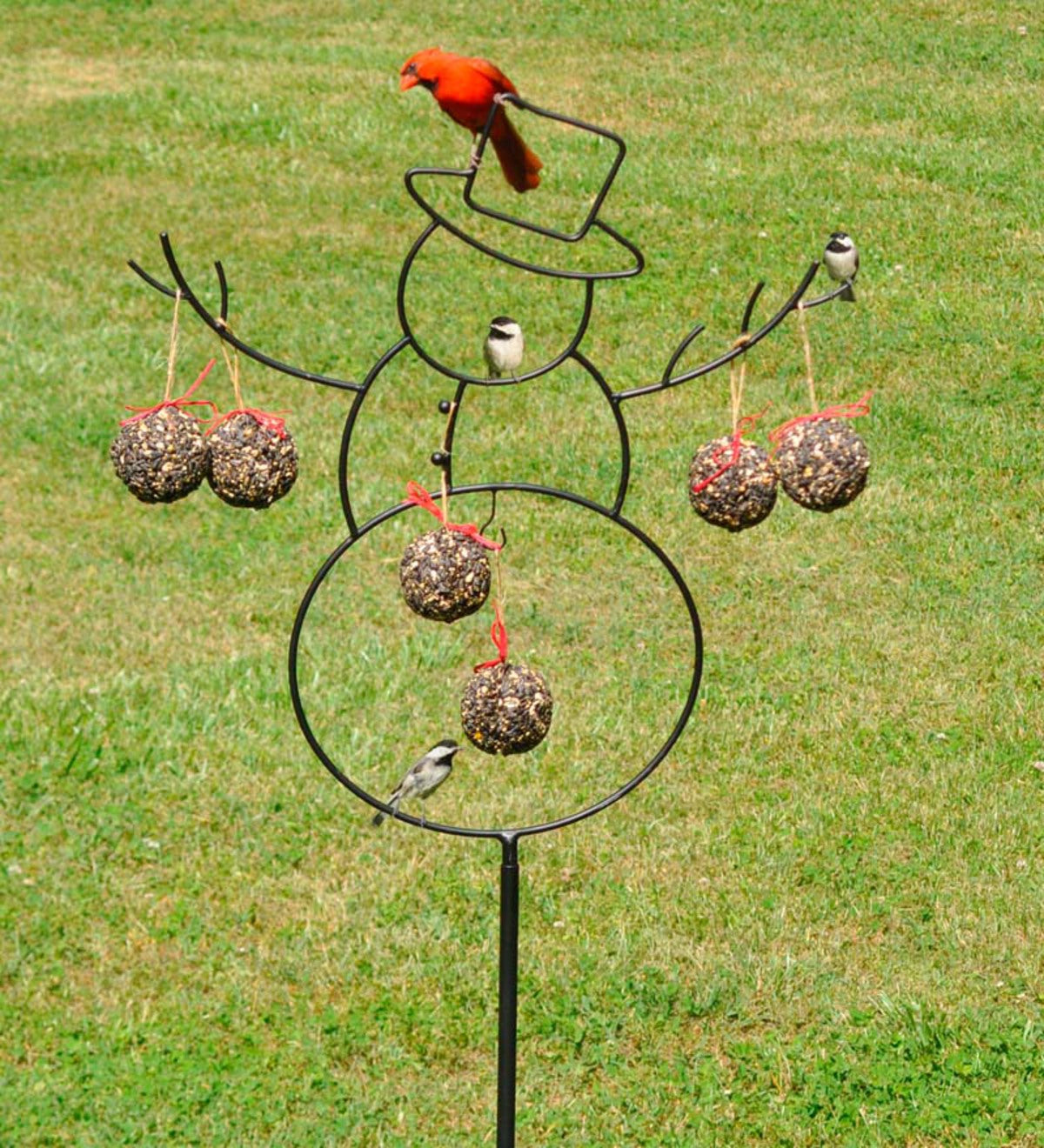 Mr. Bird Seed & Nut Ornament