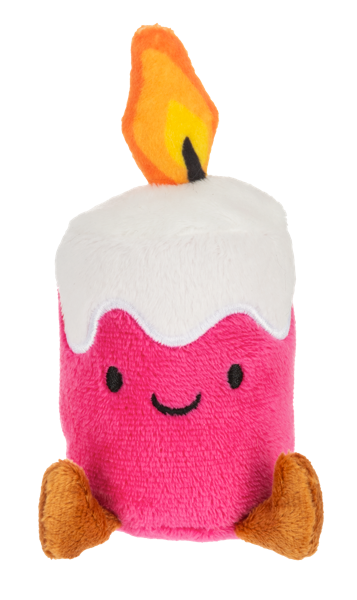 Birthday Bright Buddies