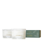Frasier Fir Tidings Boxed Votive Gift Set 3oz