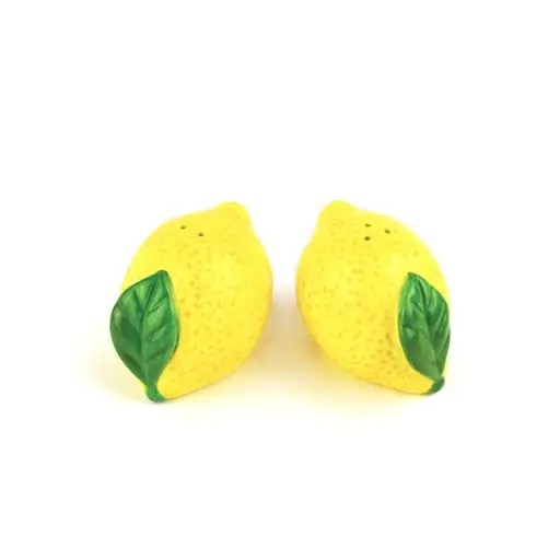 Lemon Salt & Pepper Shaker Boxed Set