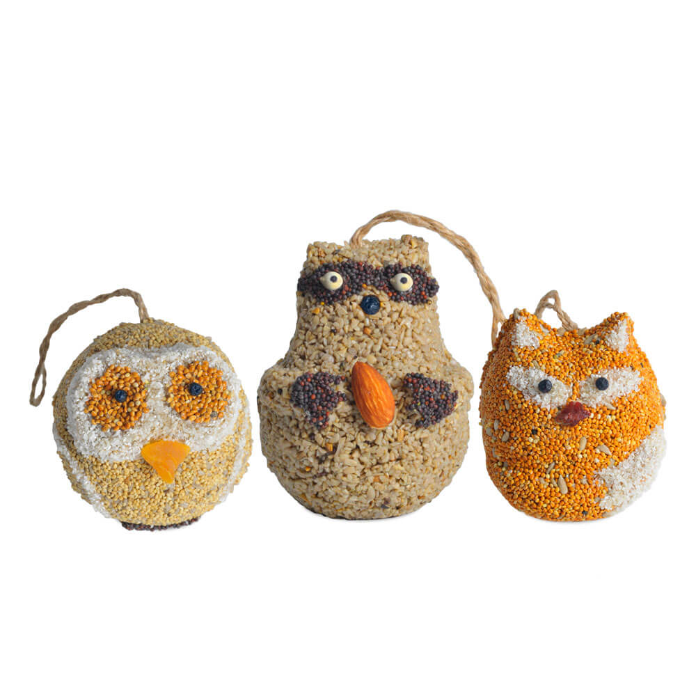 Mr. Bird Woodland Friends (*Multiple Styles*)
