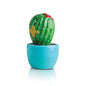 Cant Touch This (Cactus) Ceramic Mini