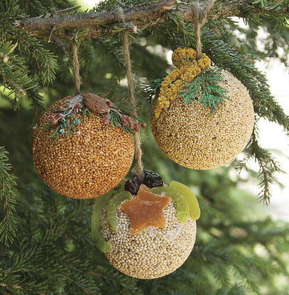 Fruit Ornaments Ball Individual Birdfeed